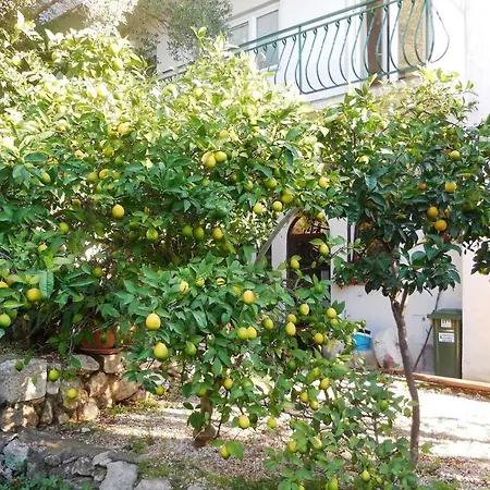And Maslina * Podgora
